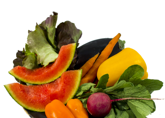 4. Tag Kochen nach der 5-Elementenlehre